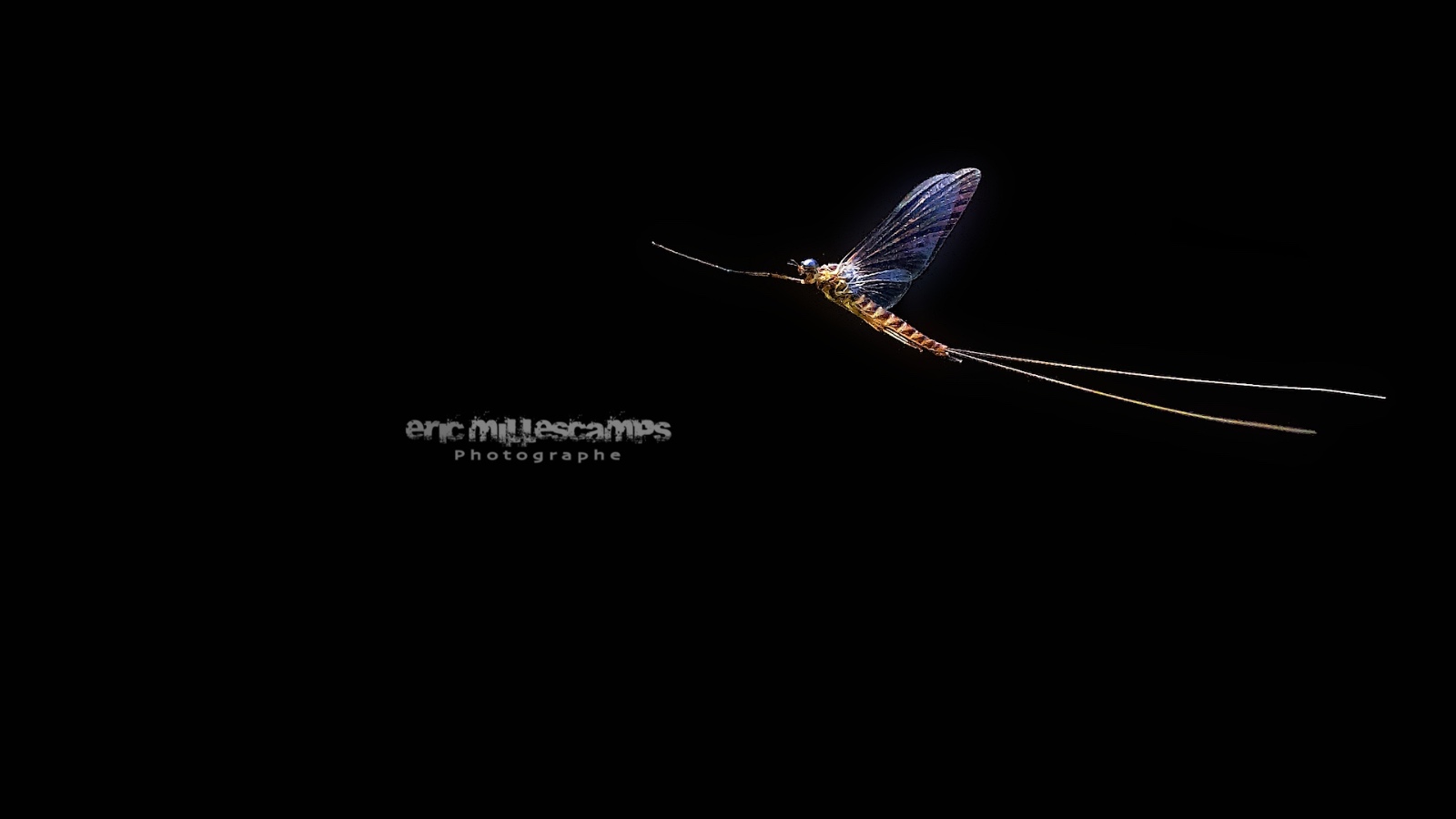 EMI 0810   Version 2